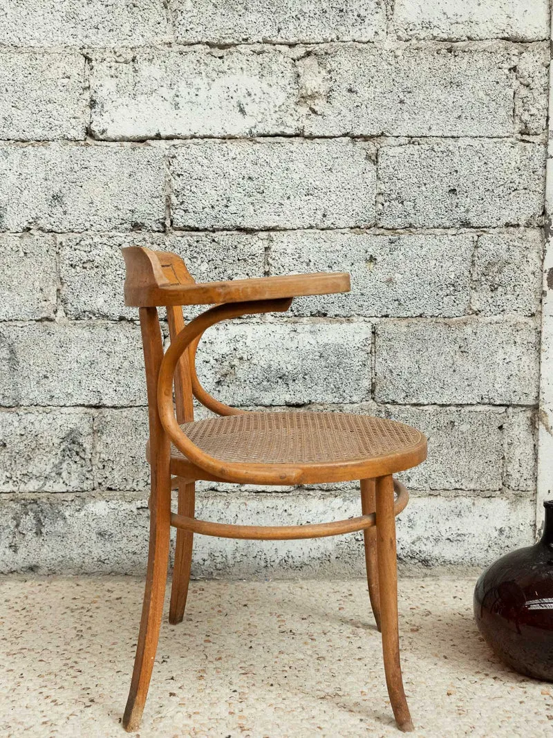 Ernest, le charmant fauteuil N°1529