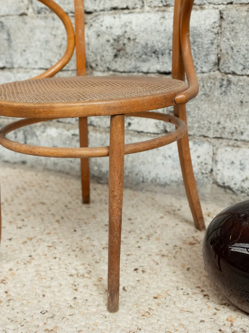 Ernest, le charmant fauteuil N°1529