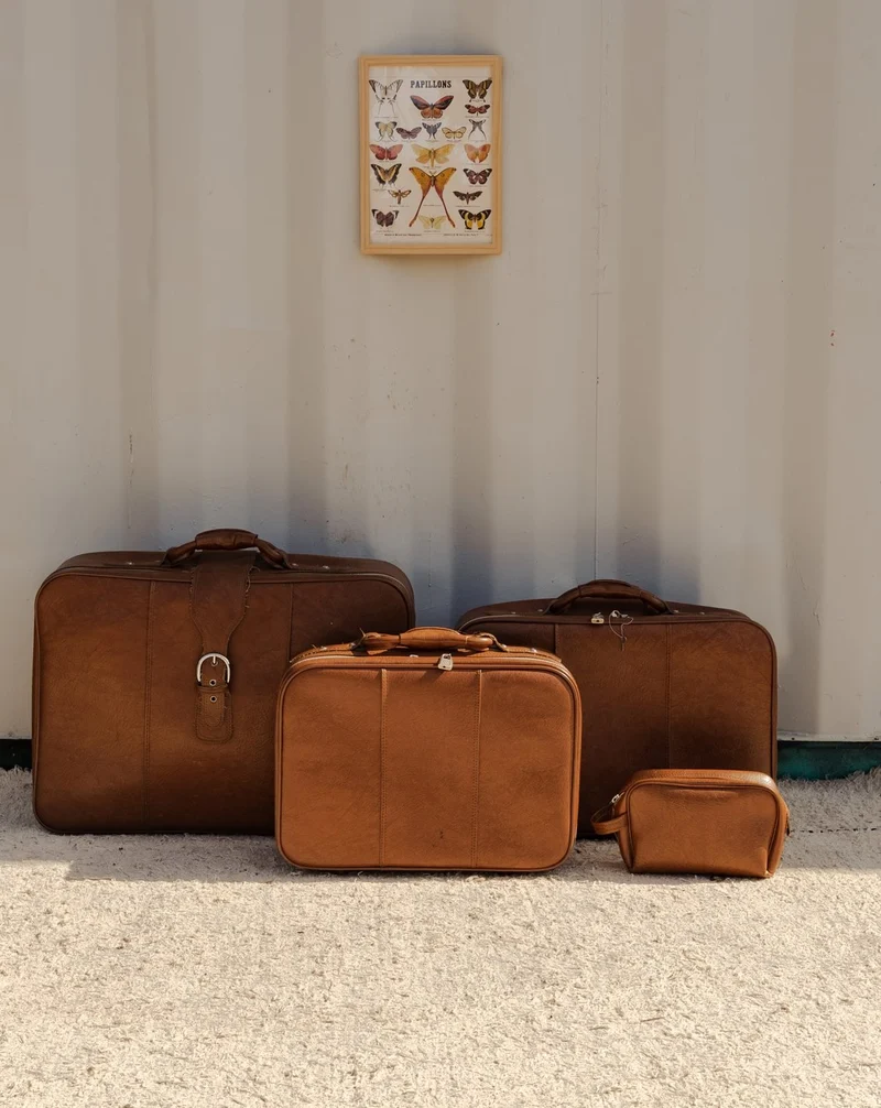 Lucienne, l'ensemble de valises en cuir marron N°322