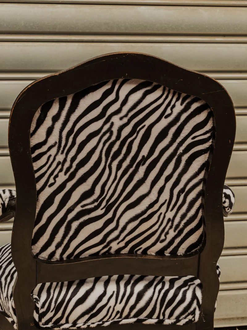 Ernest, le fauteuil en tissu zébré N°1509
