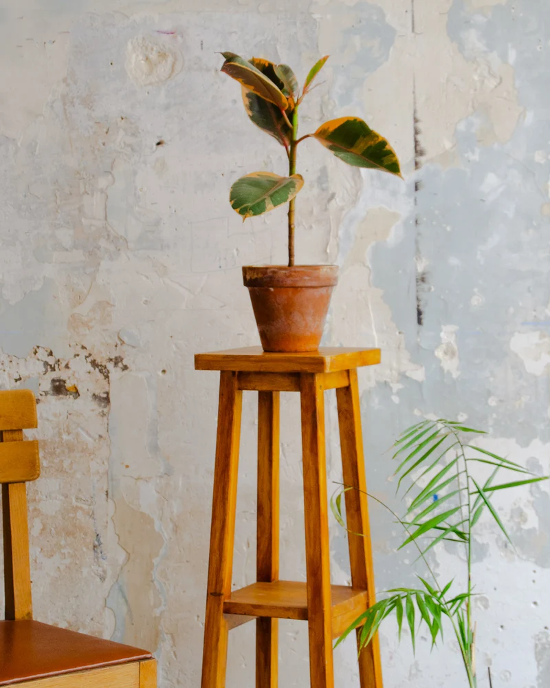 Ariel, le porte-plante en bois clair N°506