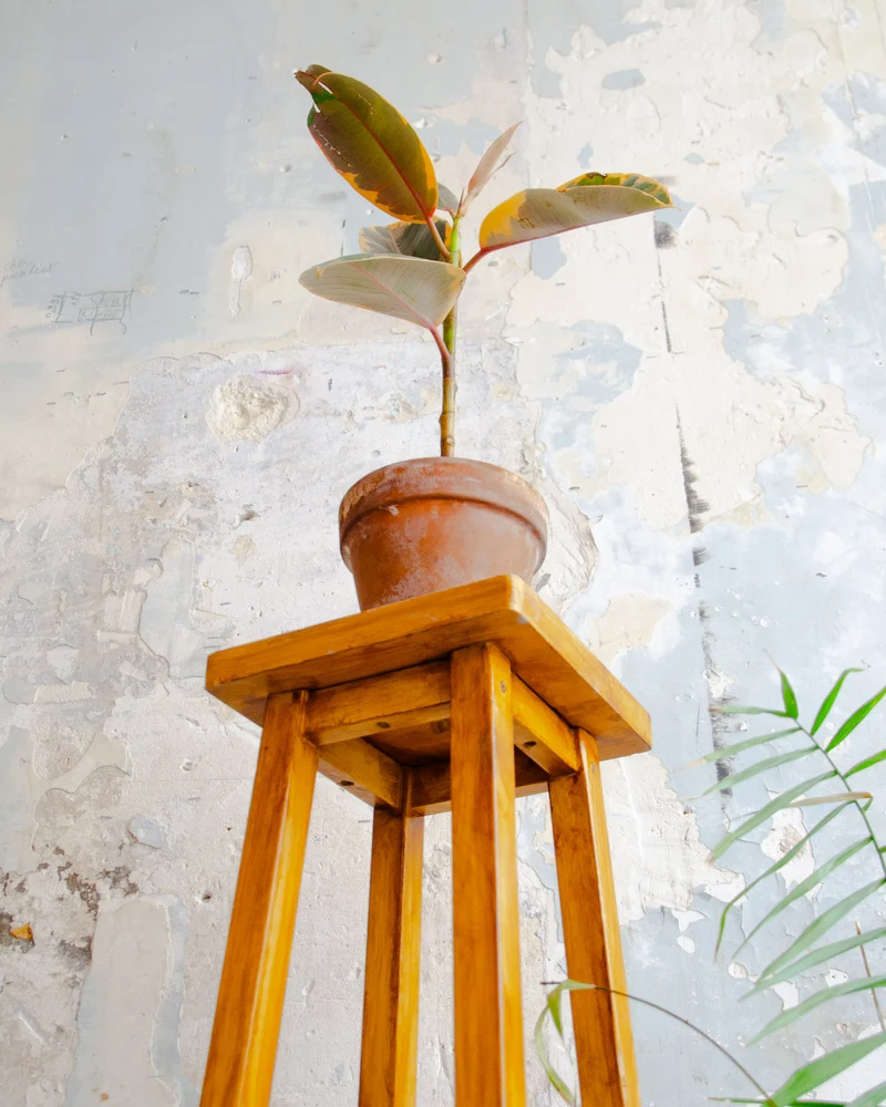Ariel, le porte-plante en bois clair N°506