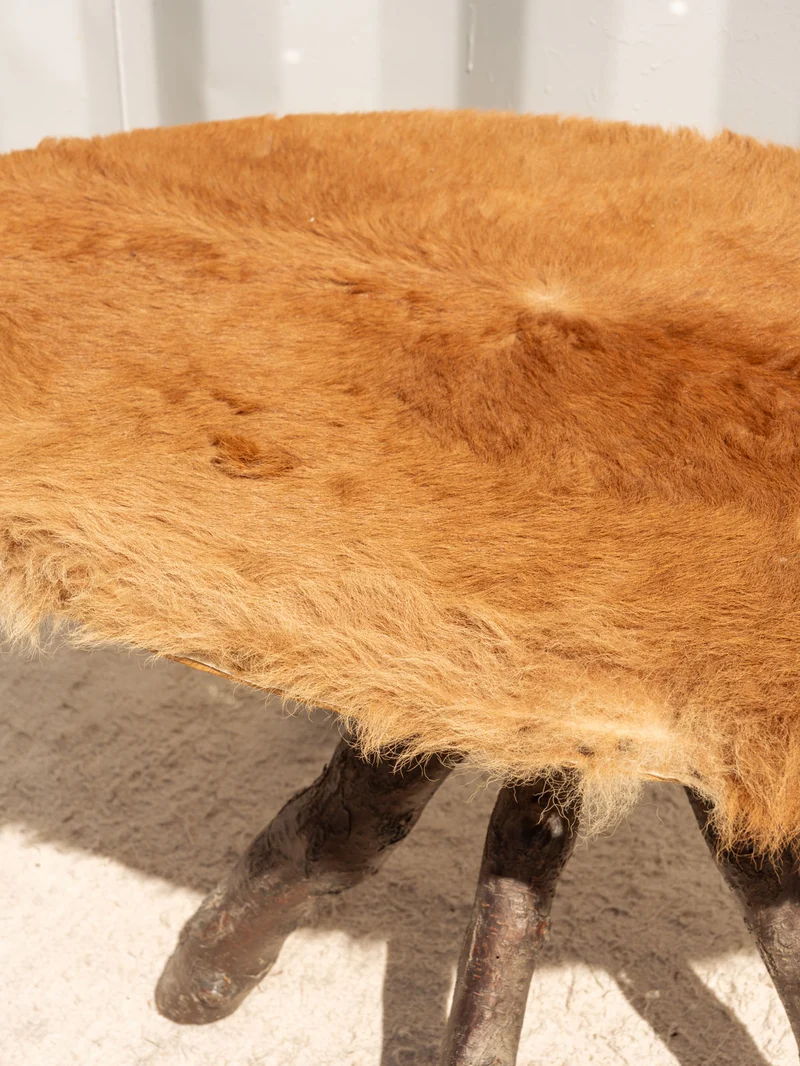 Donna, la table basse en bois et fourrure marron N°1115
