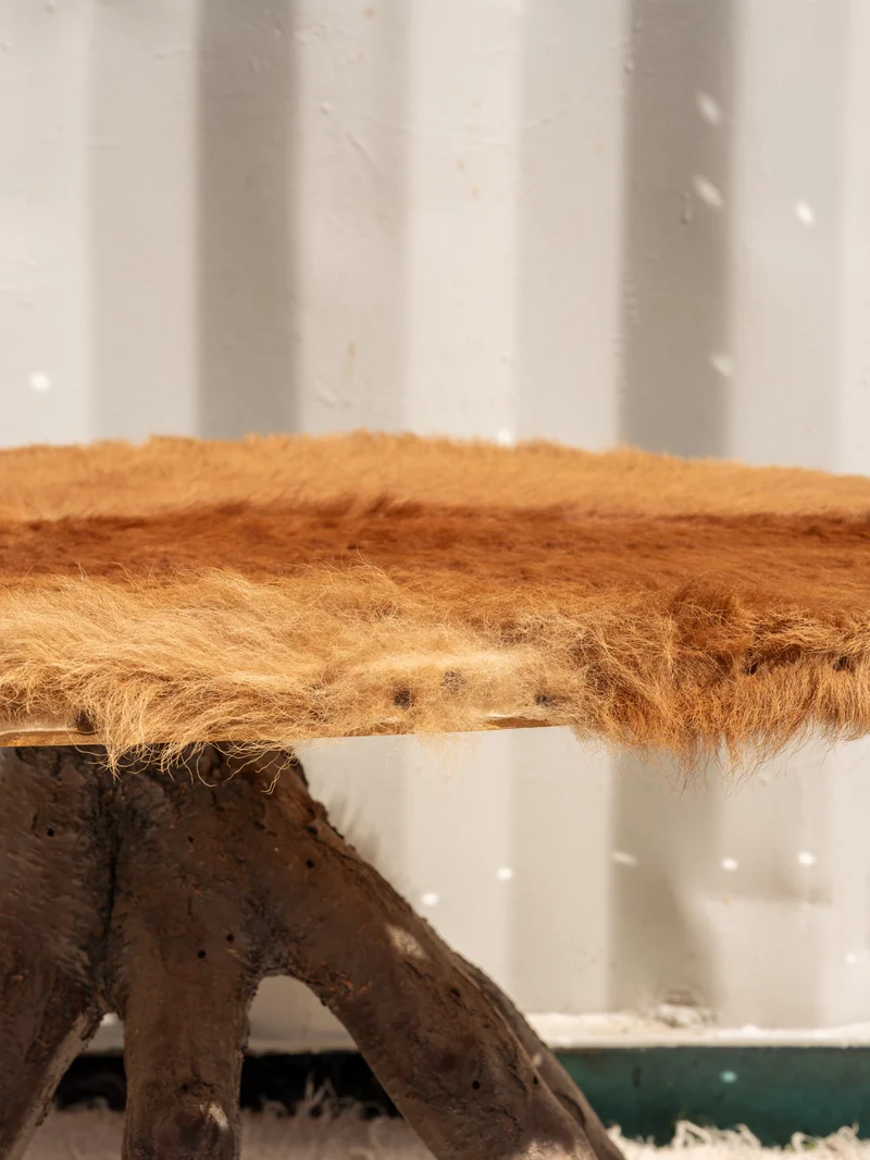 Donna, la table basse en bois et fourrure marron N°1115