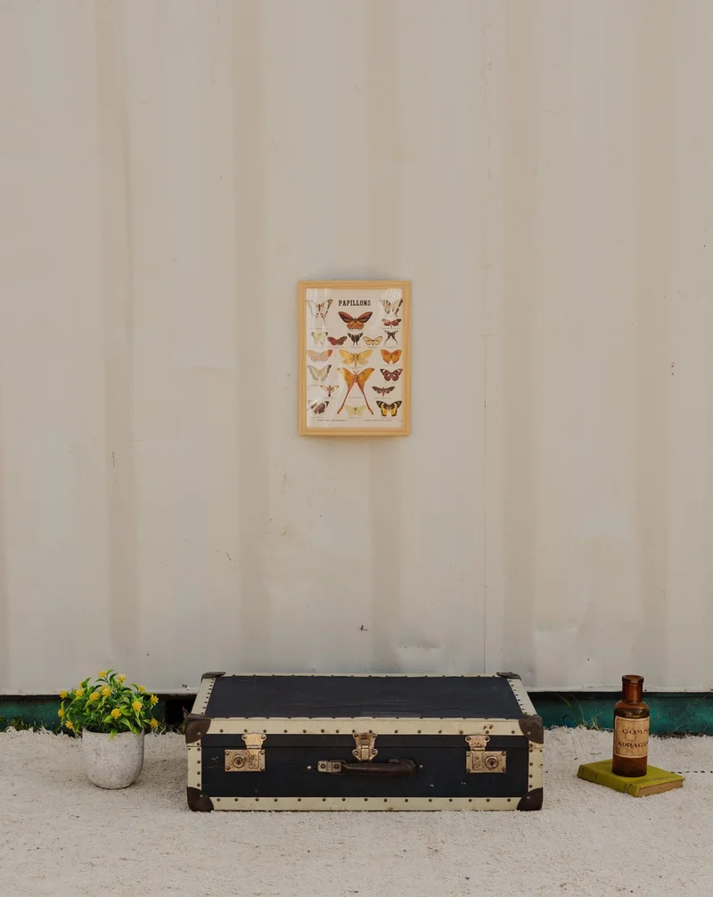 Lucienne, la valise vintage noire N°320