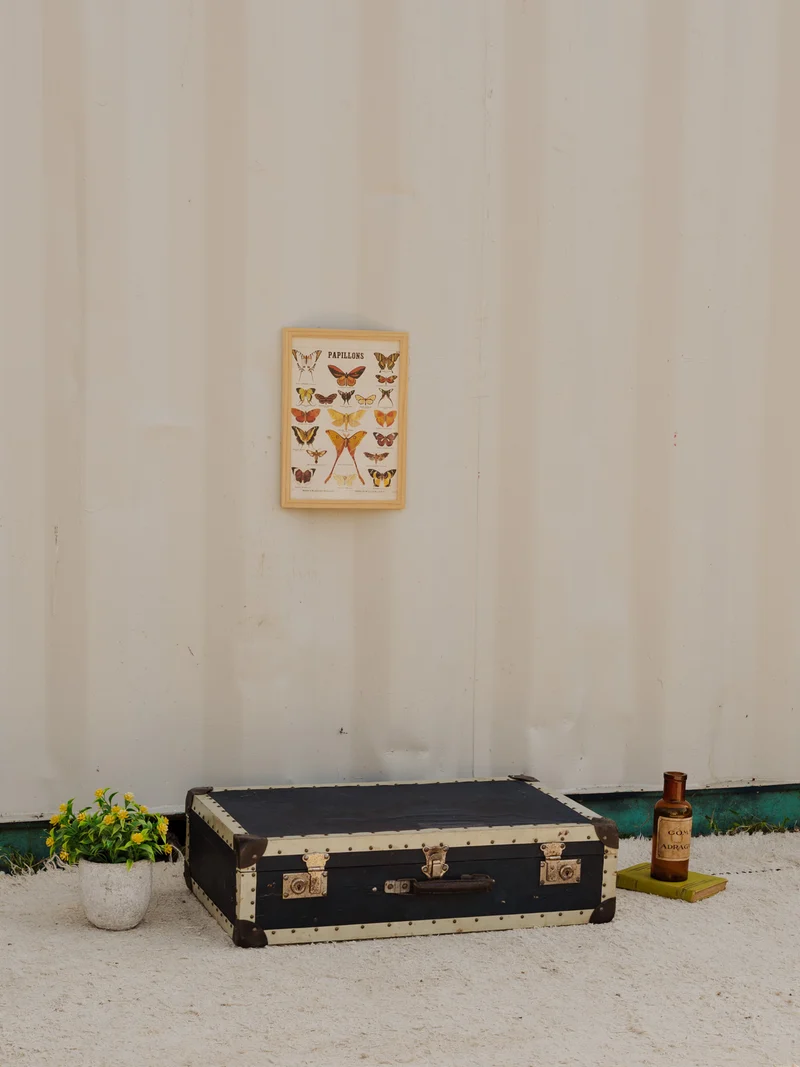 Lucienne, la valise vintage noire N°320