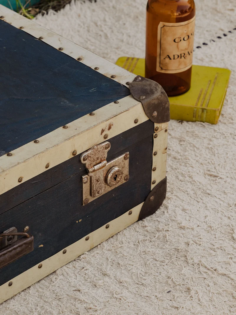 Lucienne, la valise vintage noire N°320