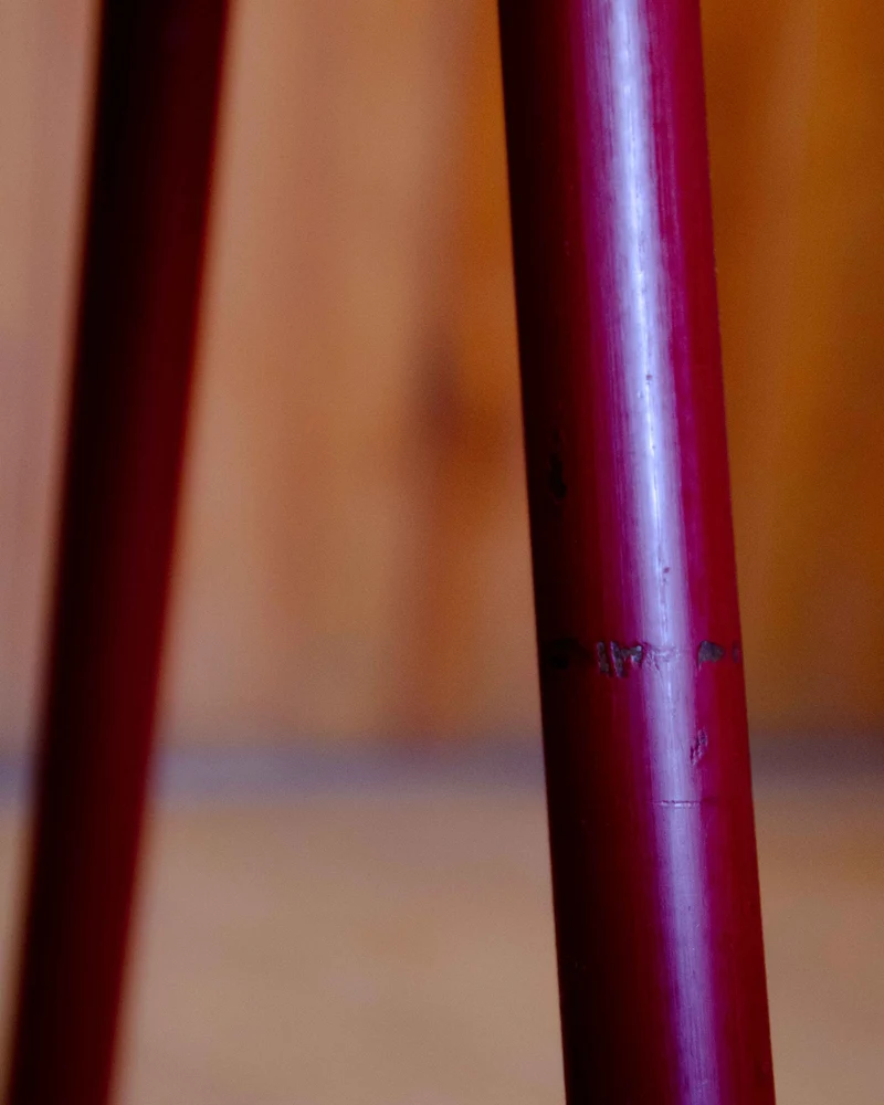 Alma, la paire de chaises de designer en bois clair N°1767