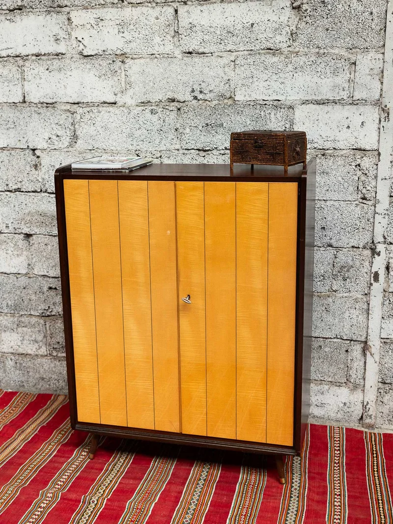 Magda, l'armoire bicolore N°719