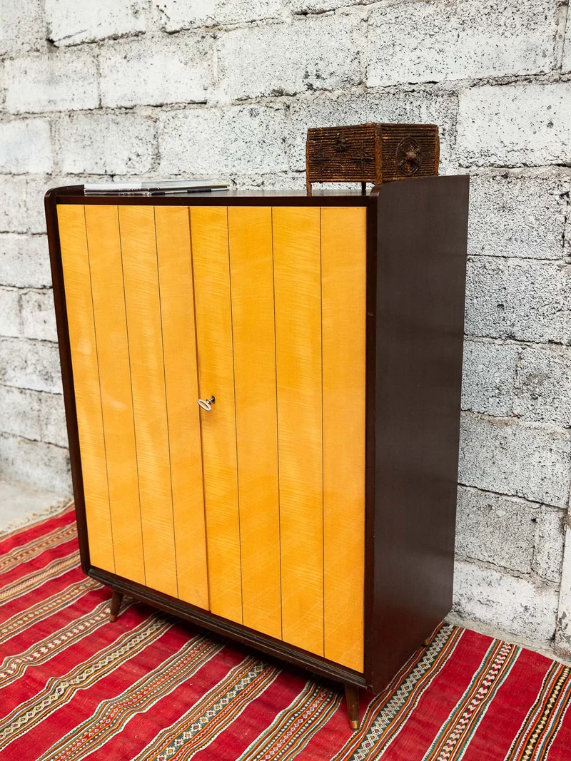 Magda, l'armoire bicolore N°719
