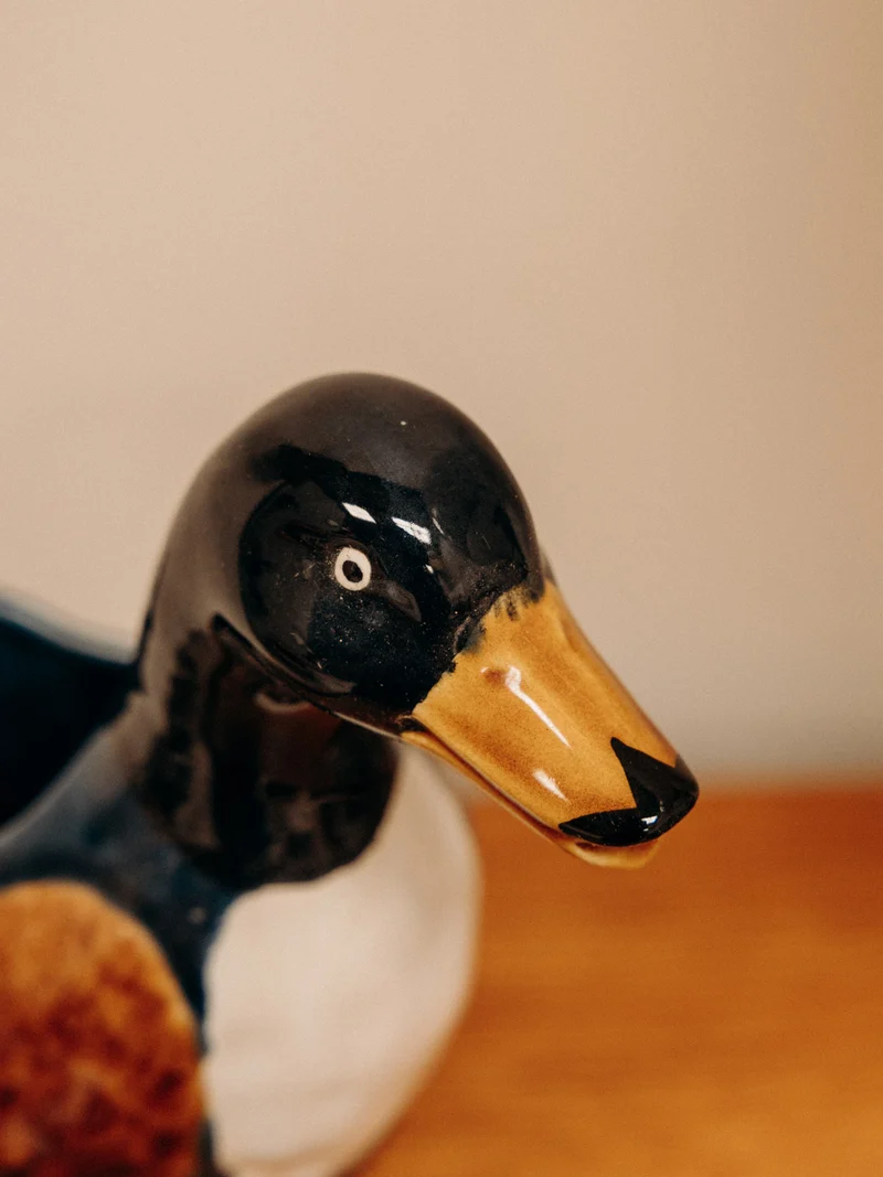 Alix, le canard multicolore en barbotine N°1091