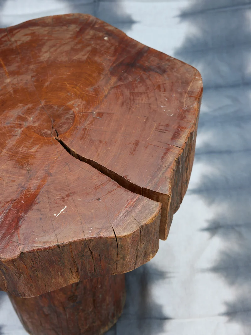 Donna, la table de salon en bois brut N°1074