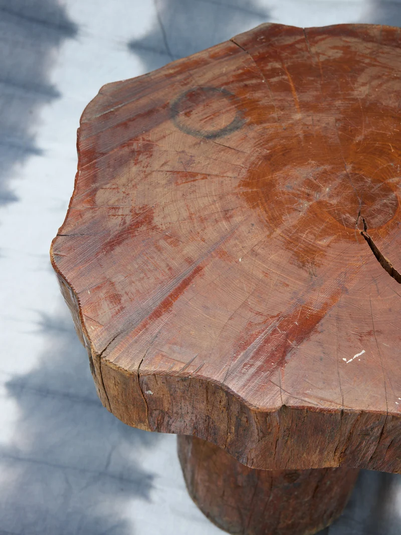 Donna, la table de salon en bois brut N°1074