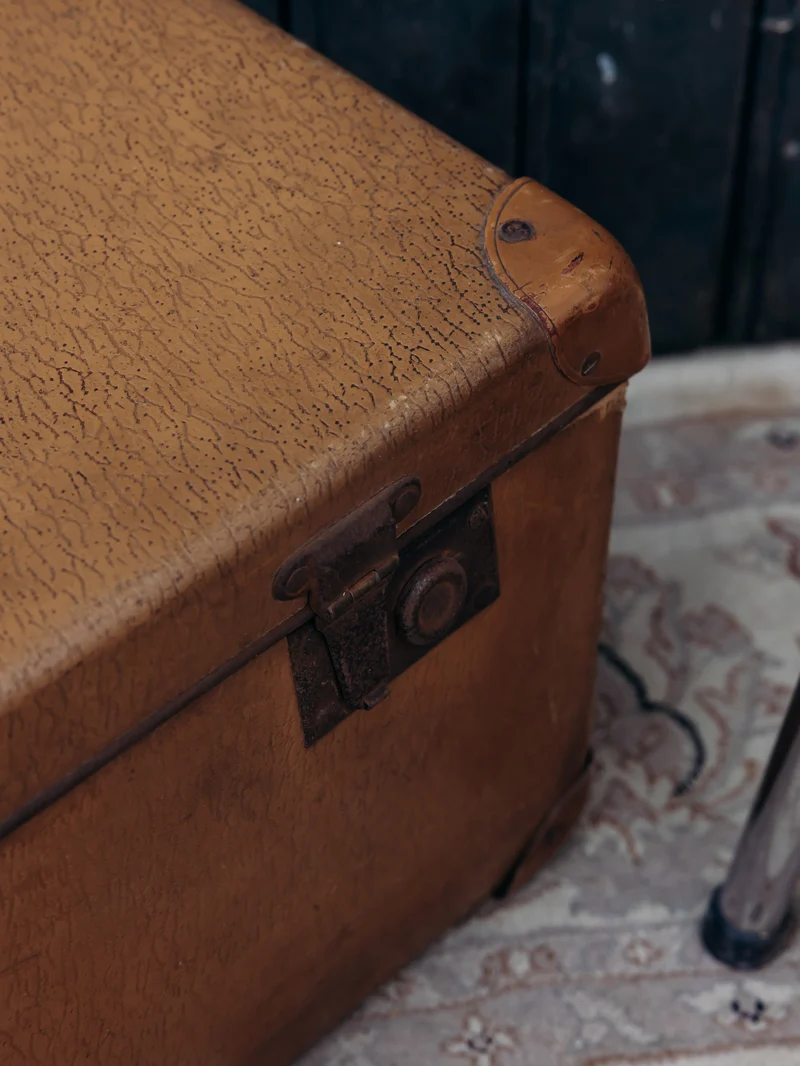 Lucien, le coffre de rangement authentique N°165
