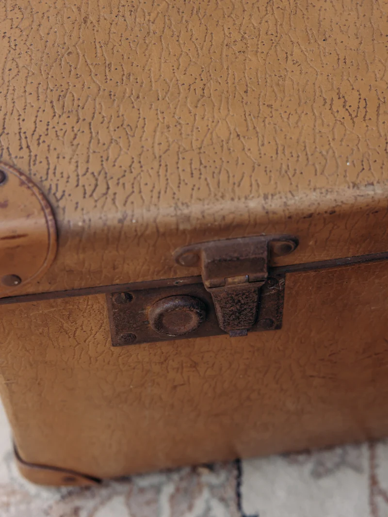 Lucien, le coffre de rangement authentique N°165
