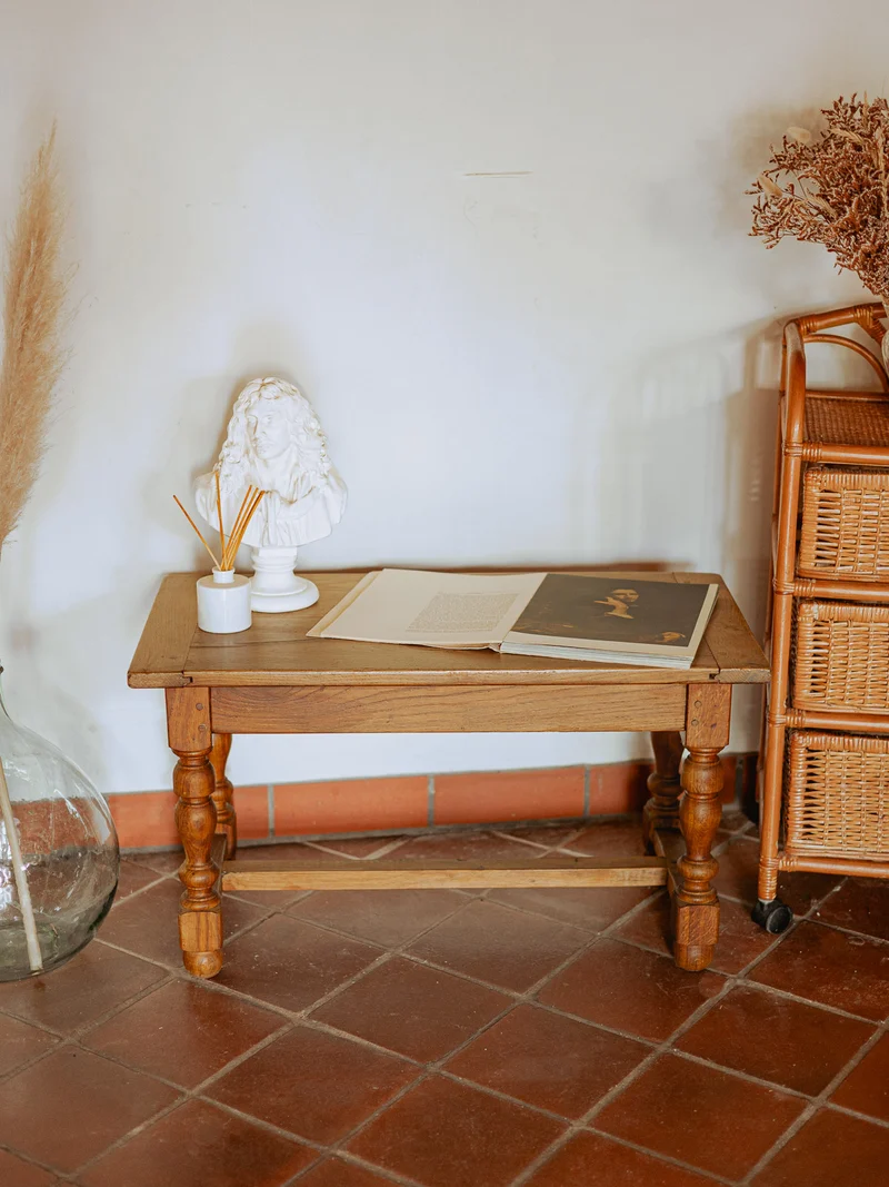 Léonie, la table basse campagne rustique N°1073