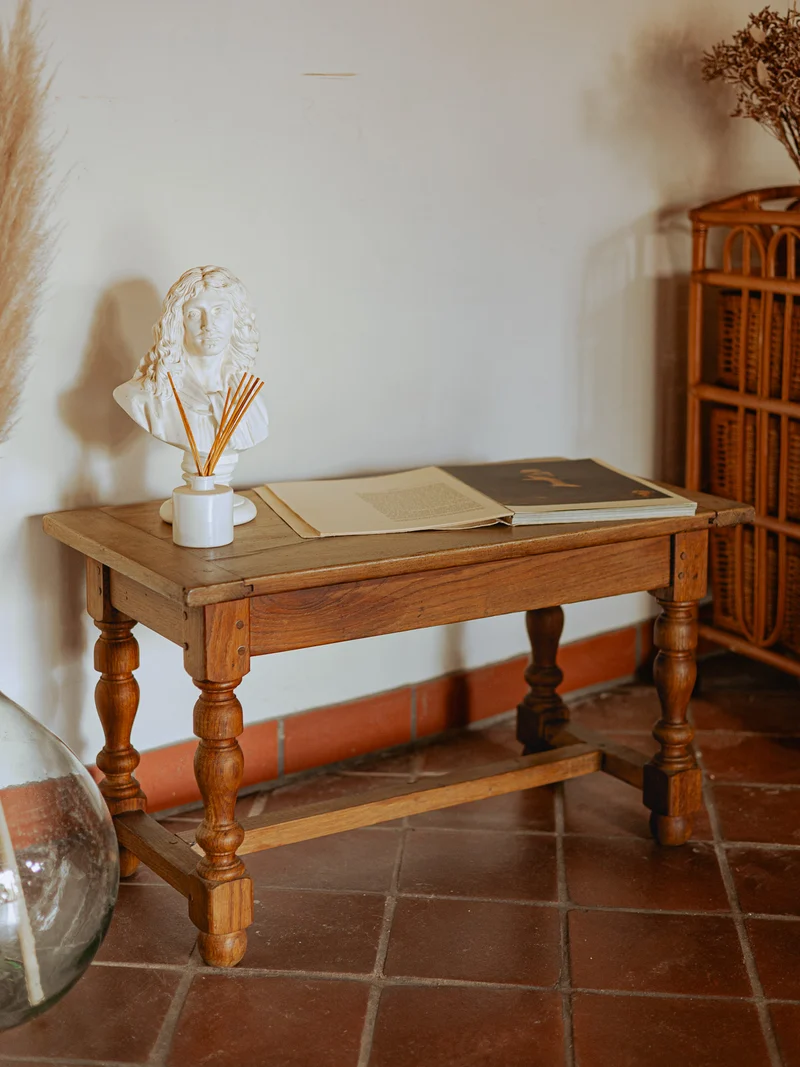 Léonie, la table basse campagne rustique N°1073