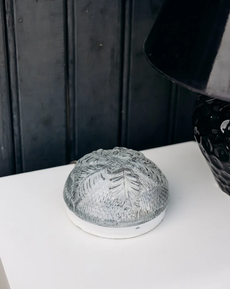 Suzanne, la lampe à fixation polyvalente N°601