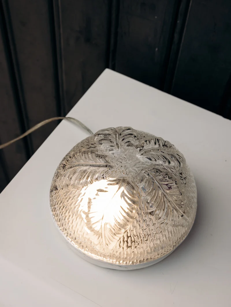Suzanne, la lampe à fixation polyvalente N°601