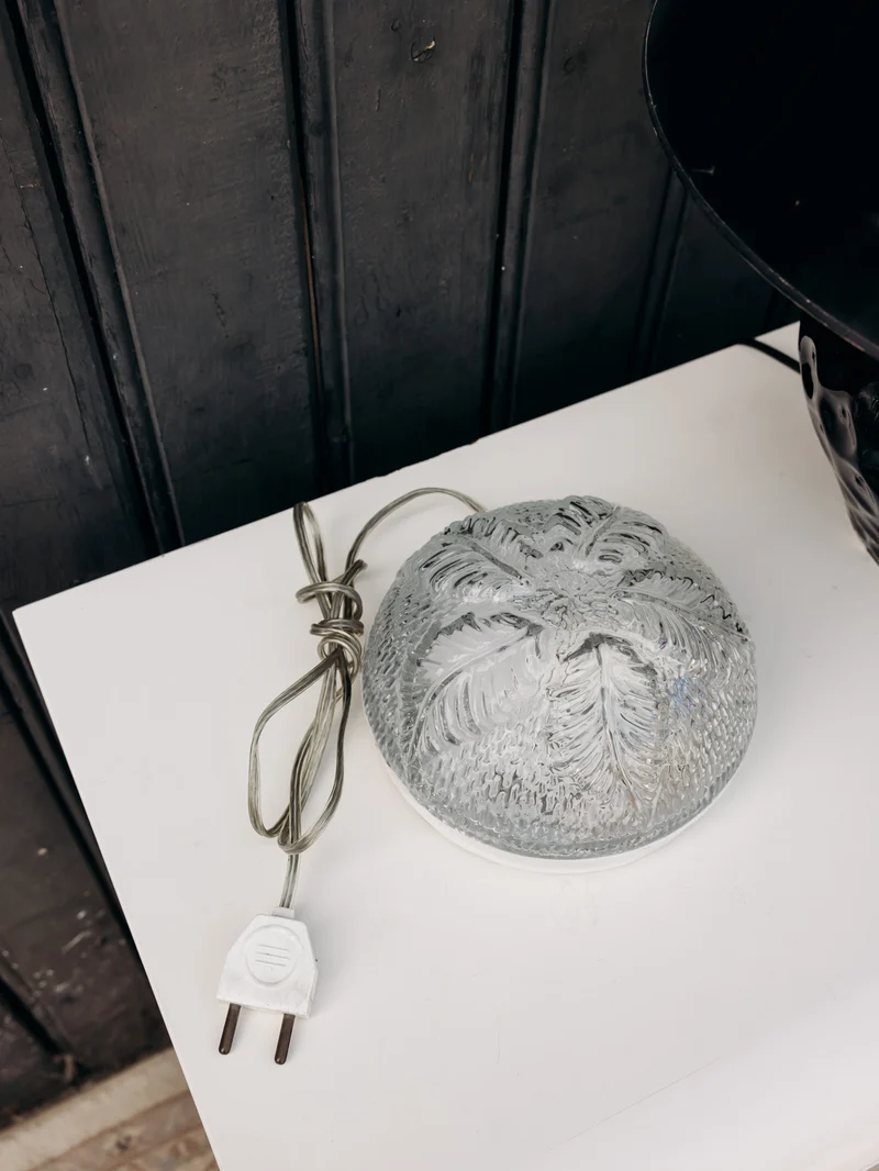Suzanne, la lampe à fixation polyvalente N°601