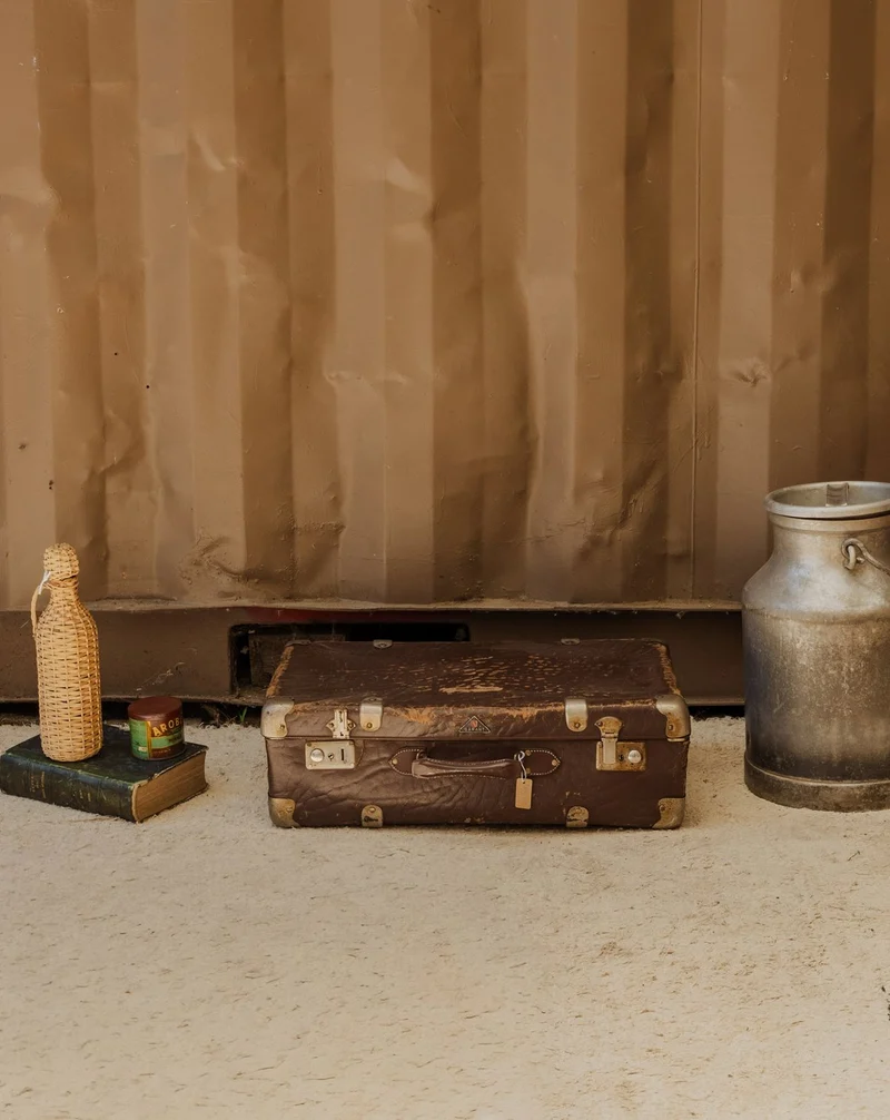 Lucienne, la valise marron N°311