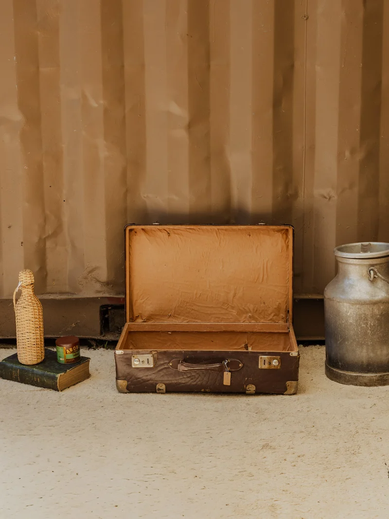 Lucienne, la valise marron N°311