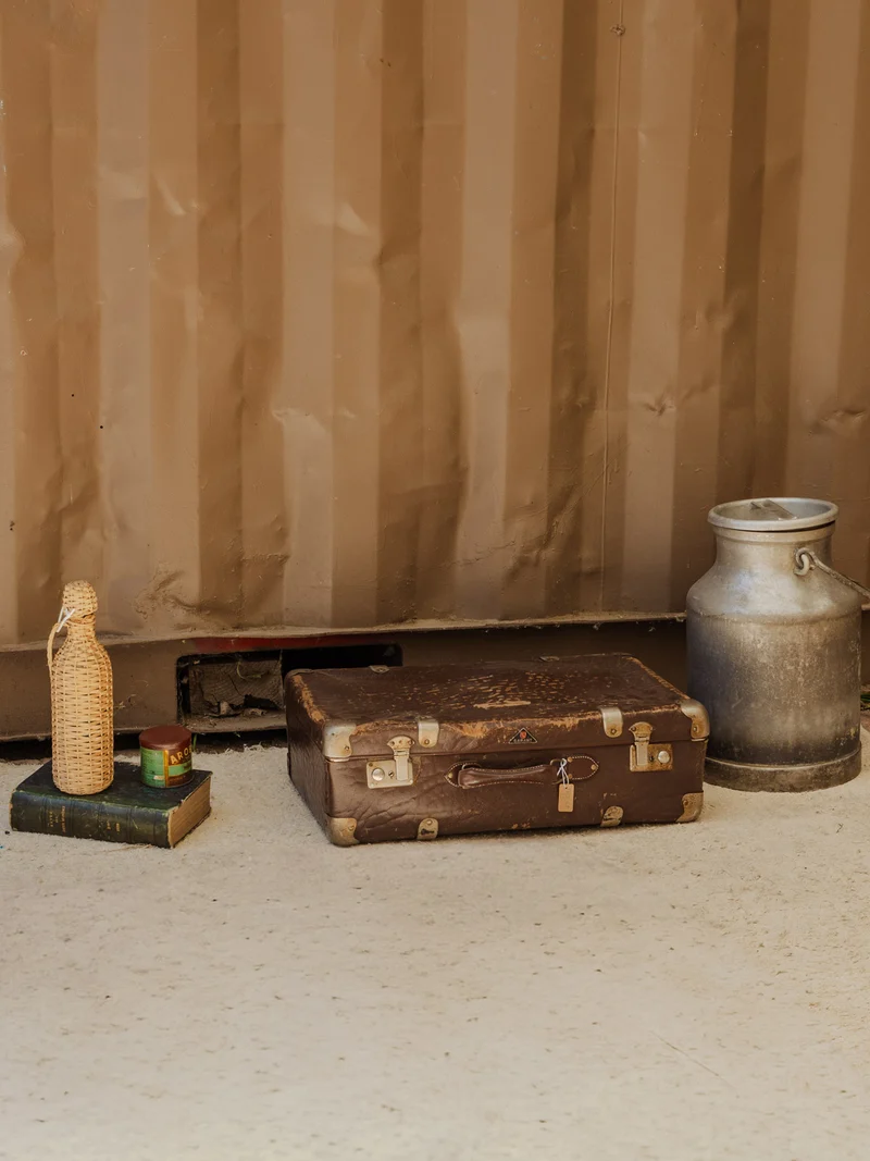 Lucienne, la valise marron N°311