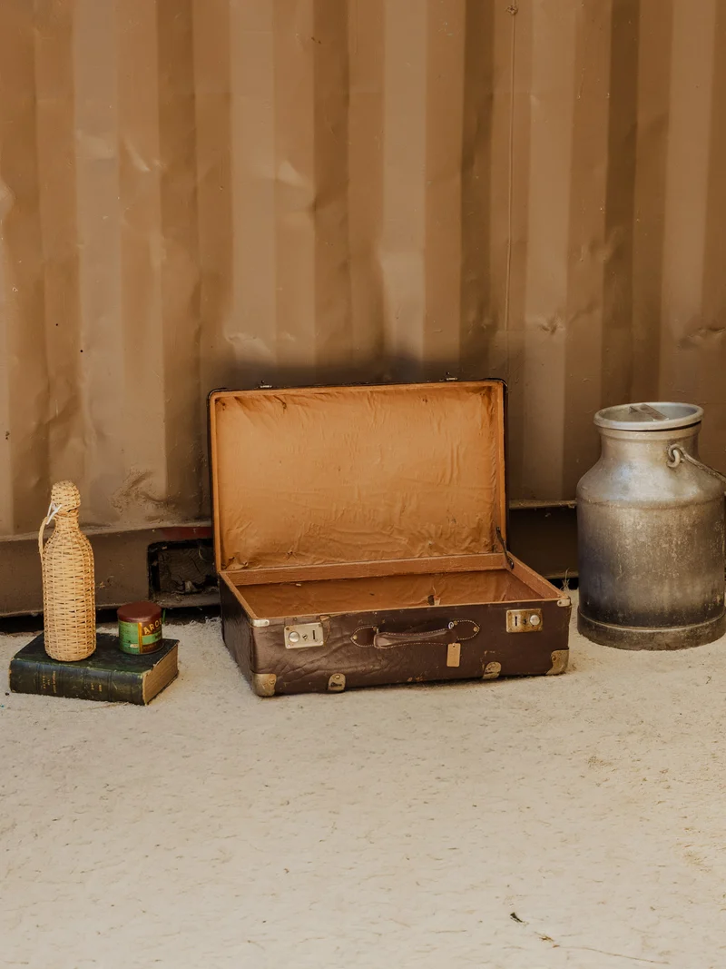Lucienne, la valise marron N°311