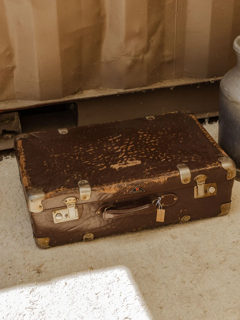 Lucienne, la valise marron N°311