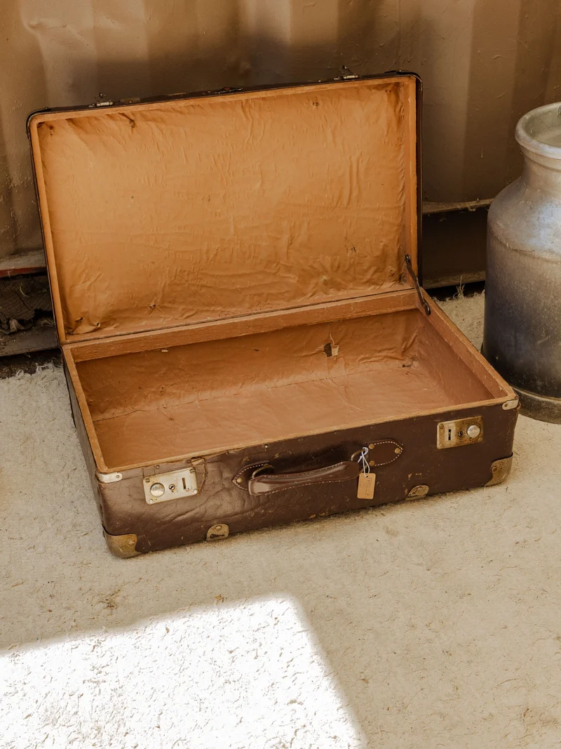 Lucienne, la valise marron N°311