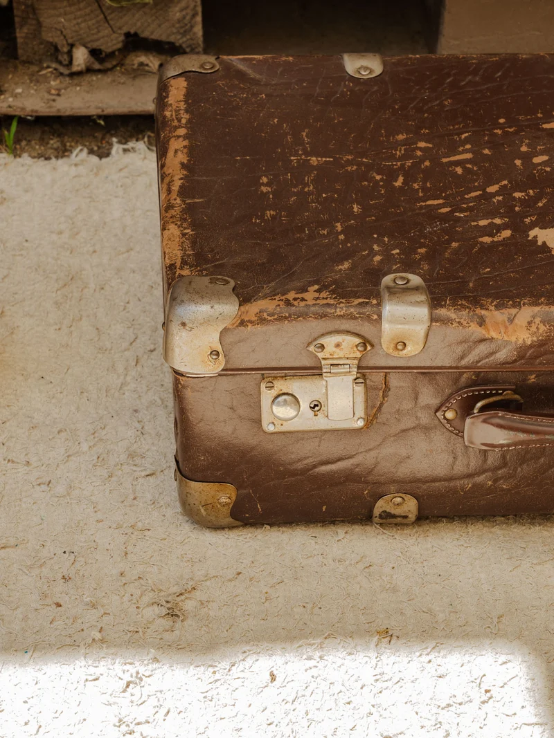 Lucienne, la valise marron N°311