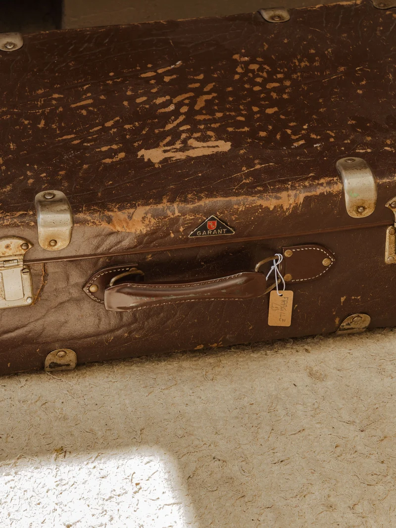 Lucienne, la valise marron N°311