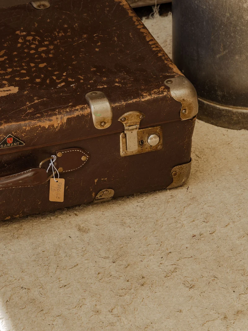 Lucienne, la valise marron N°311