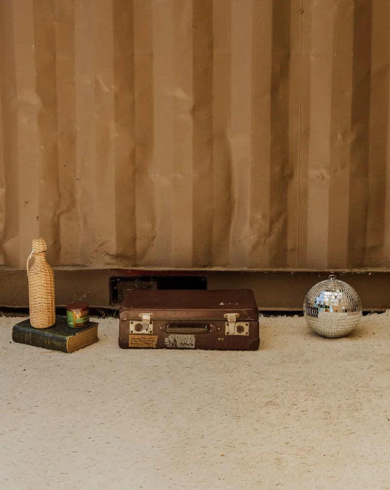 Lucienne, la valise marron N°310