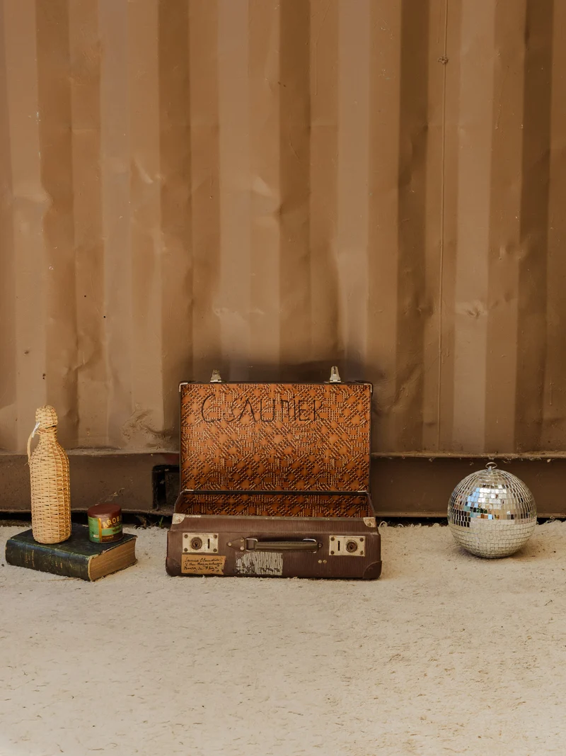 Lucienne, la valise marron N°310