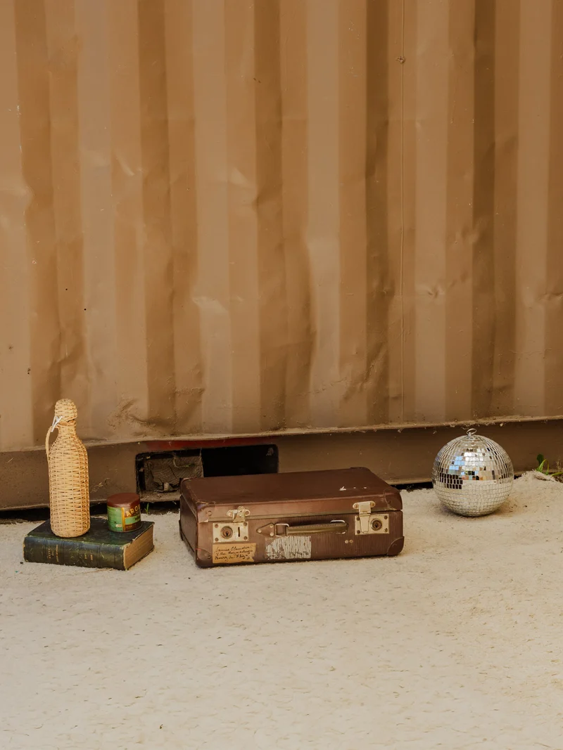 Lucienne, la valise marron N°310