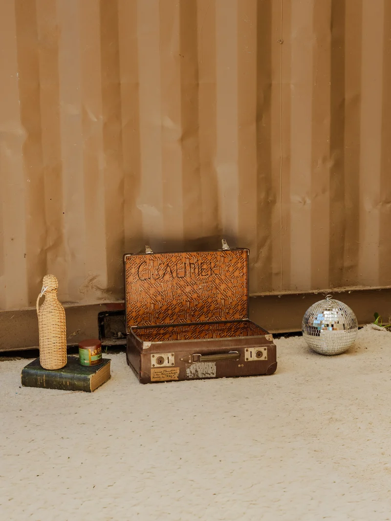 Lucienne, la valise marron N°310