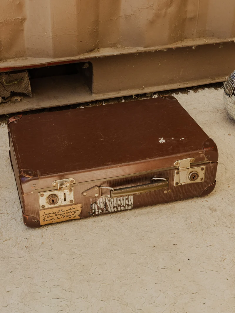 Lucienne, la valise marron N°310