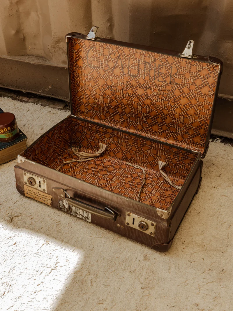 Lucienne, la valise marron N°310