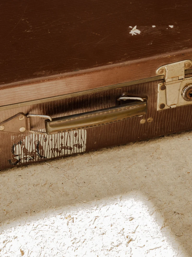 Lucienne, la valise marron N°310