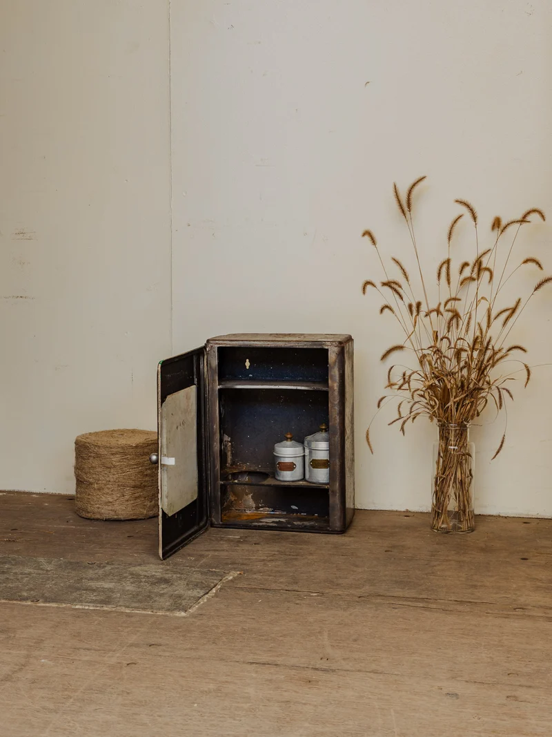 Gaëlle, l'ancienne armoire à pharmacie en métal N°1435