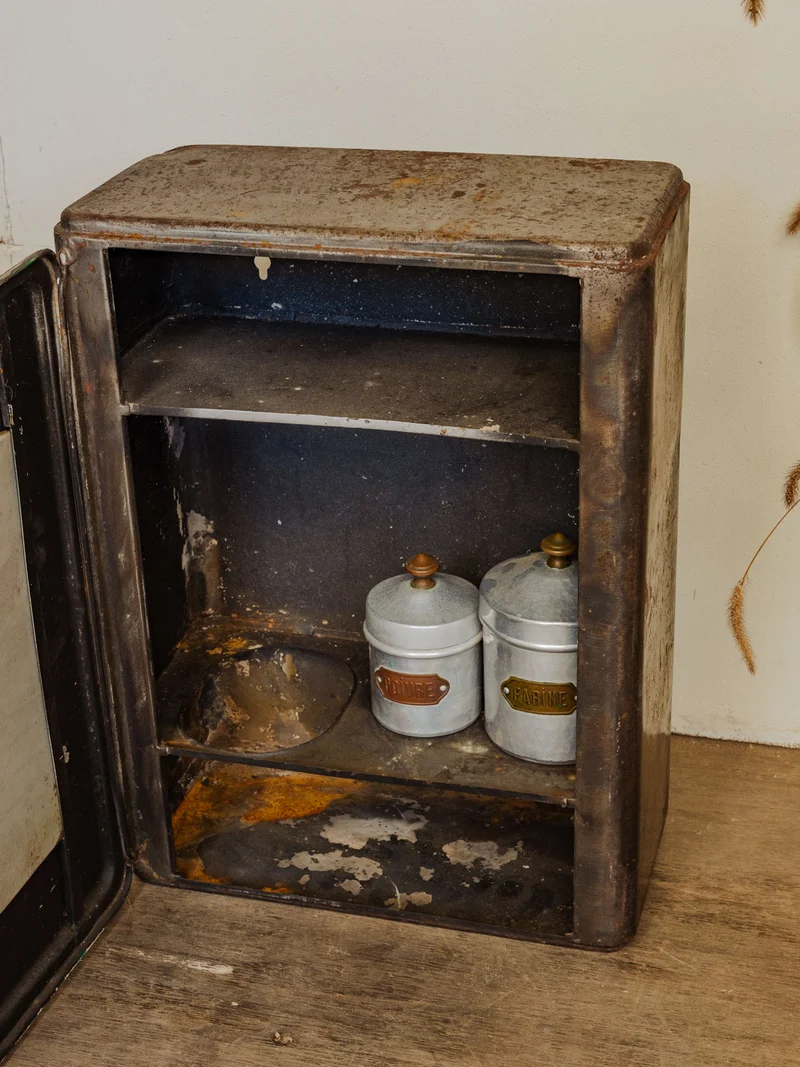 Gaëlle, l'ancienne armoire à pharmacie en métal N°1435
