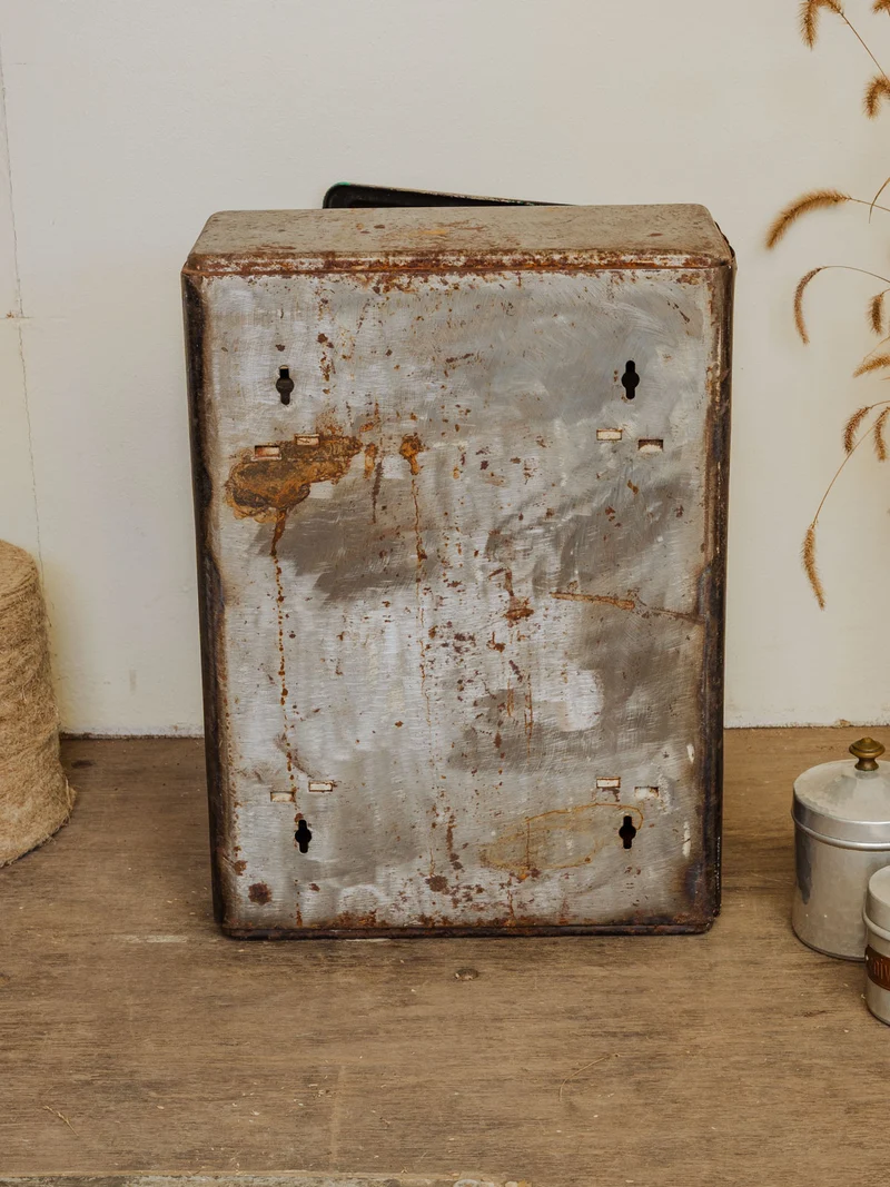 Gaëlle, l'ancienne armoire à pharmacie en métal N°1435