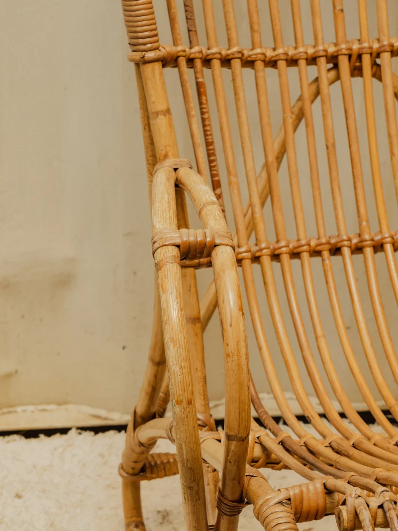 Ernest, le fauteuil en rotin N°1046