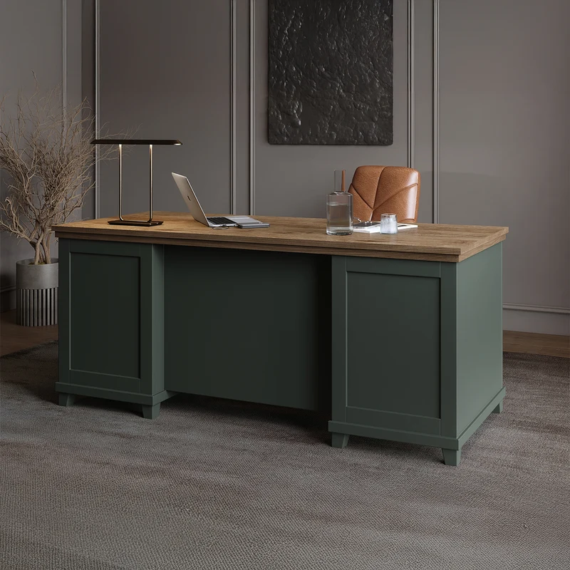 Bureau 1 porte 4 tiroirs Martin Vert et Bois