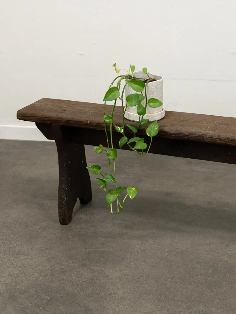 Antoine, le banc en sapin N°454