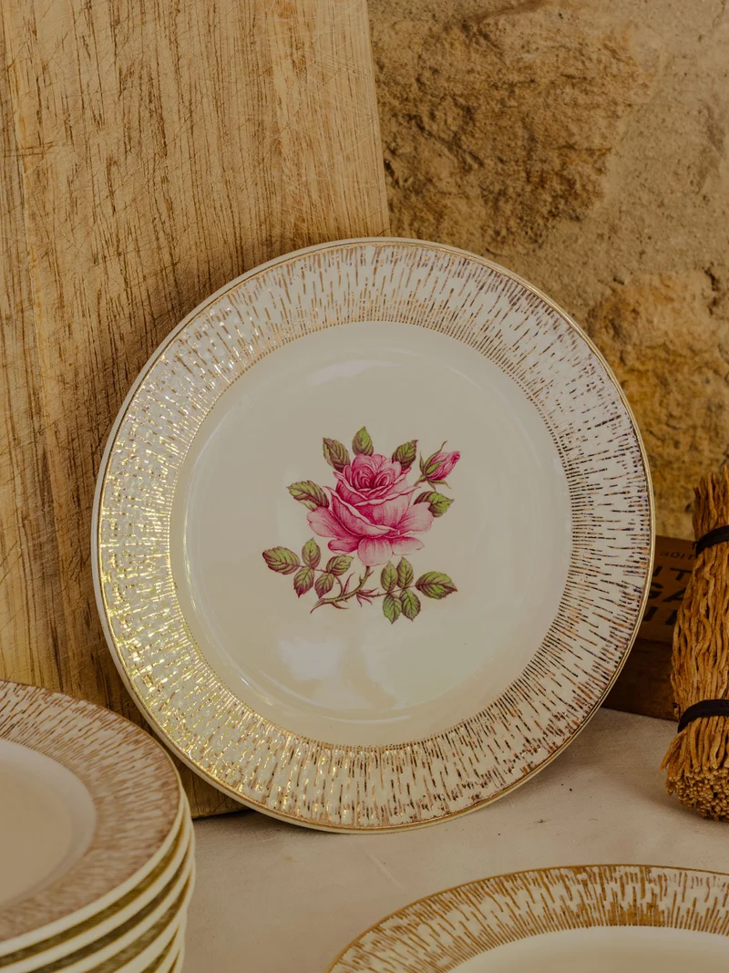 Antoinette, le lot de 11 assiettes en faïence N°302
