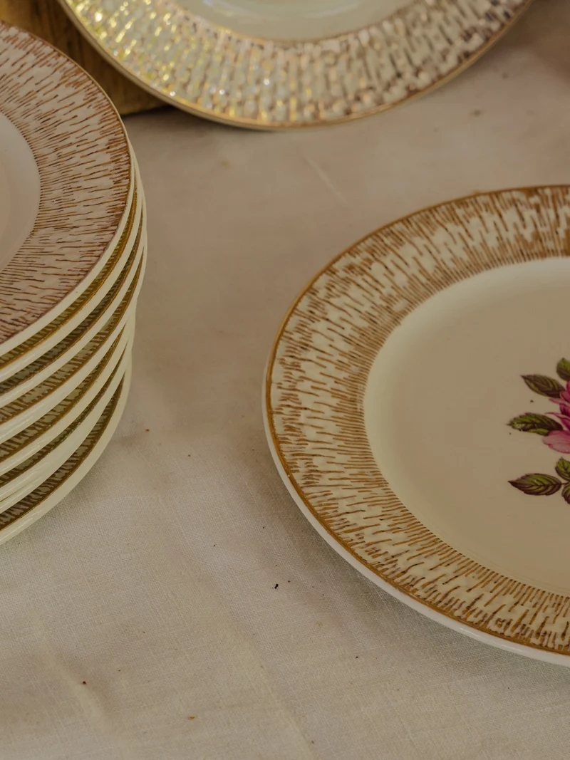Antoinette, le lot de 11 assiettes en faïence N°302