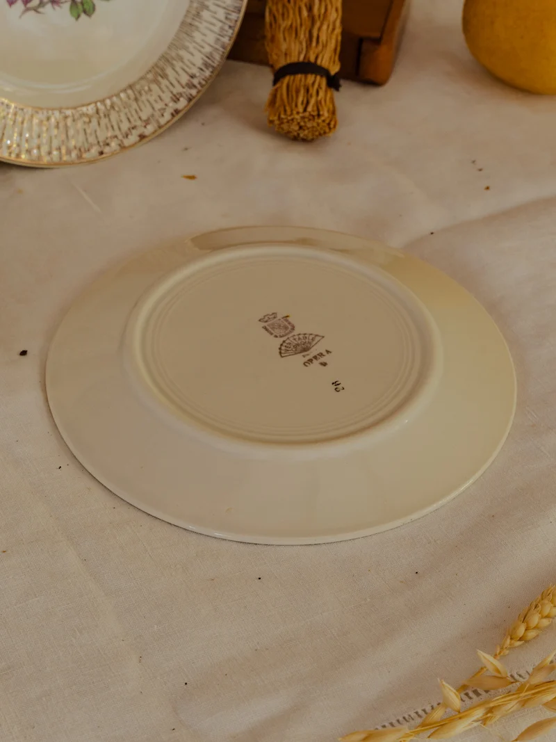Antoinette, le lot de 11 assiettes en faïence N°302