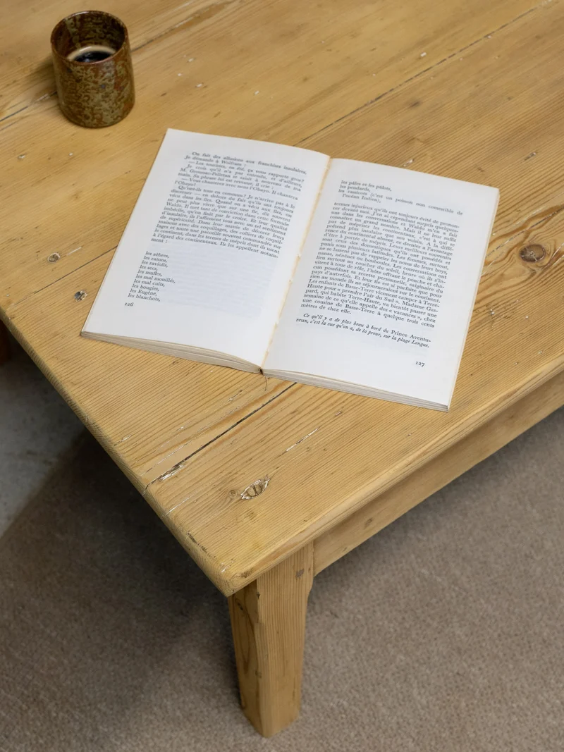 Léonie, la petite table basse en bois N°991